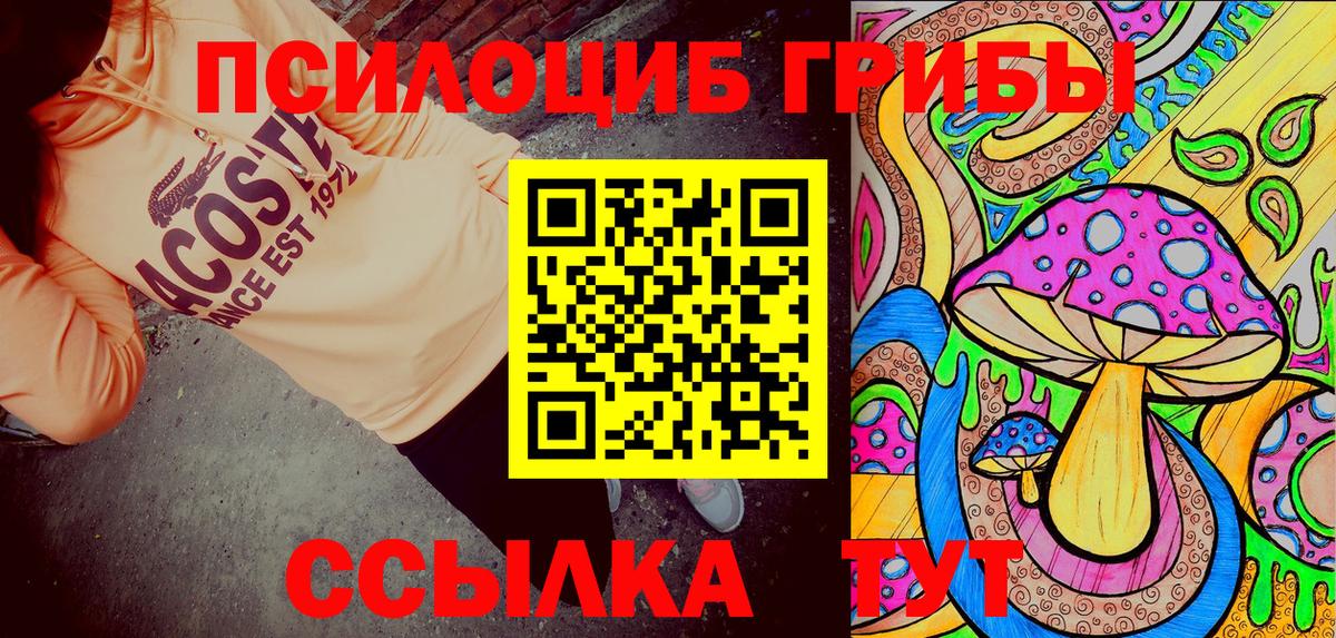 Псилоцибиновые грибы Psilocybine cubensis Истра