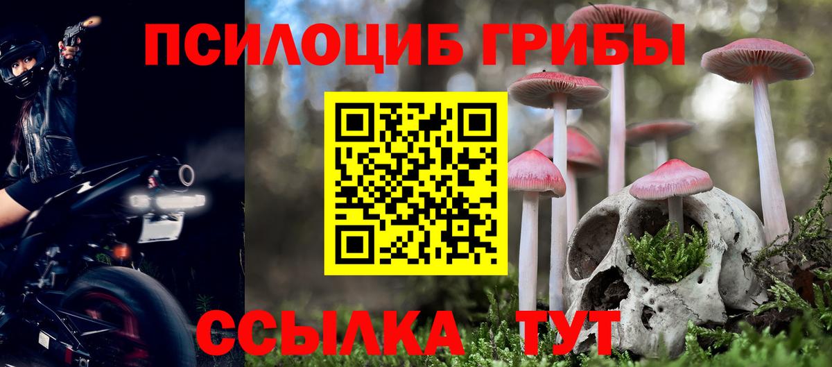 Истра  Галлюциногенные грибы ЛСД  Псилоцибиновые грибы прущие грибы  где можно купить наркотик  Вход с VPN 